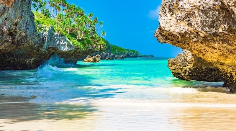 9 DAYS WILDLIFE SAFARI & ZANZIBAR BEACH HOLIDAY (BUSH TO BEACH)