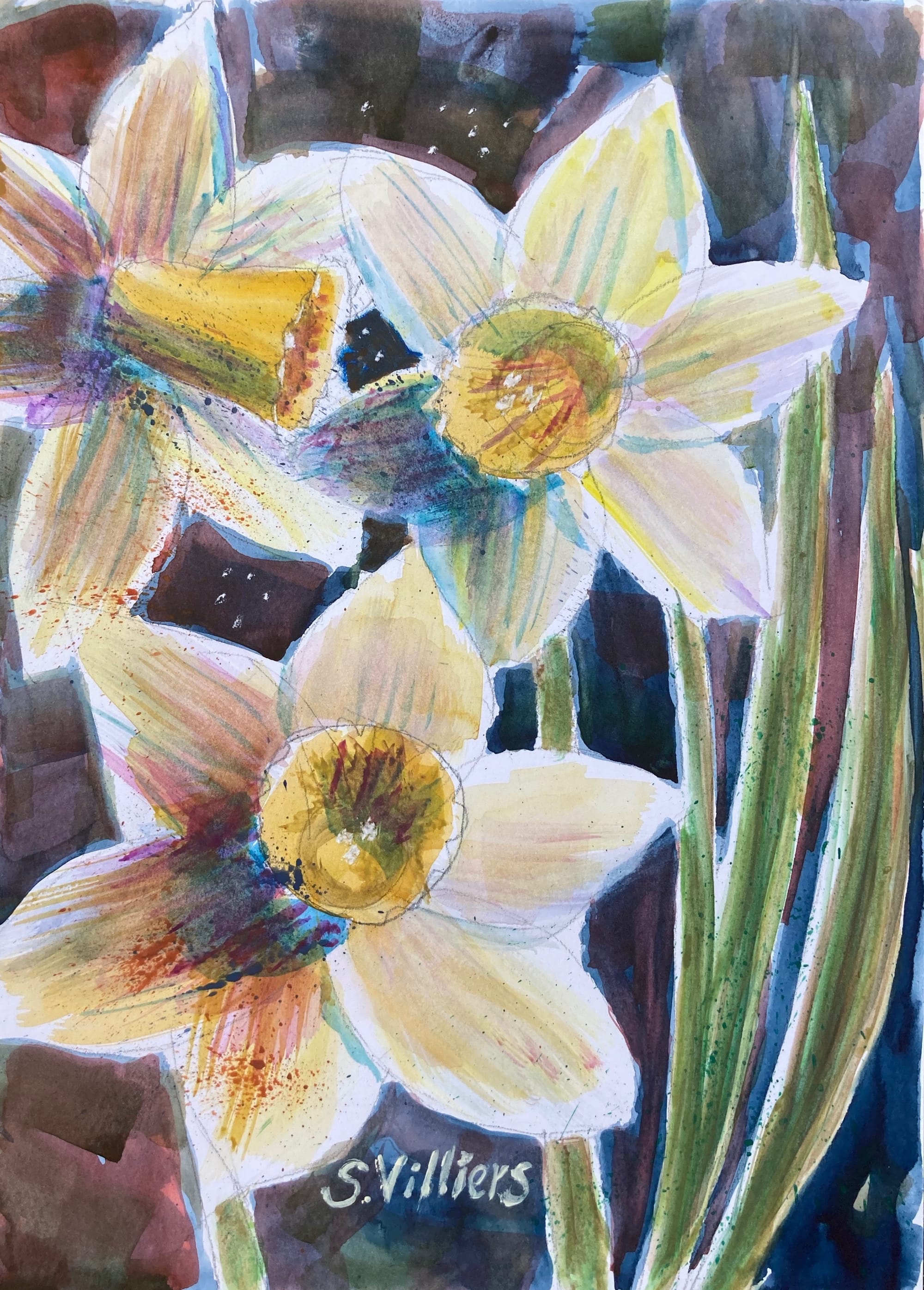 Dancing Daffodils