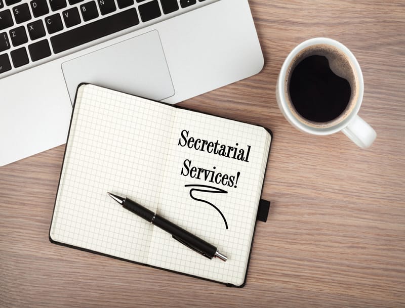 COMPANY SECRETARIAL SERVICES