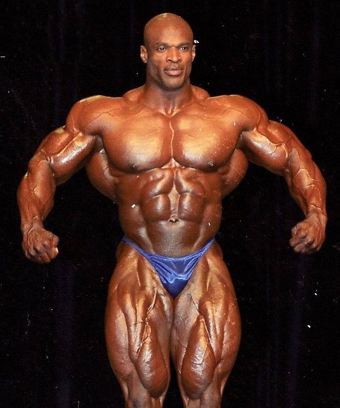 BODYBUILDING image