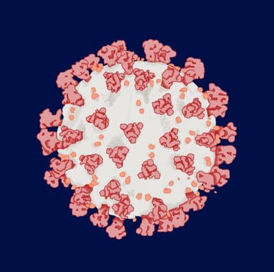 What Can the Past Teach Us About the Coronavirus Pandemic?