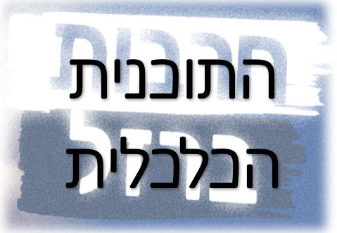 מענה כלכלי למשק - התוכנית הכלכלית