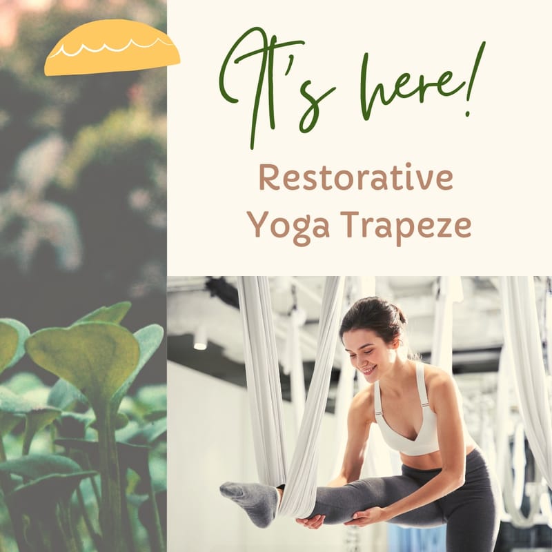 "MeTime" Restorative Yoga Trapeze  ( 1h 15min ) 6:00pm