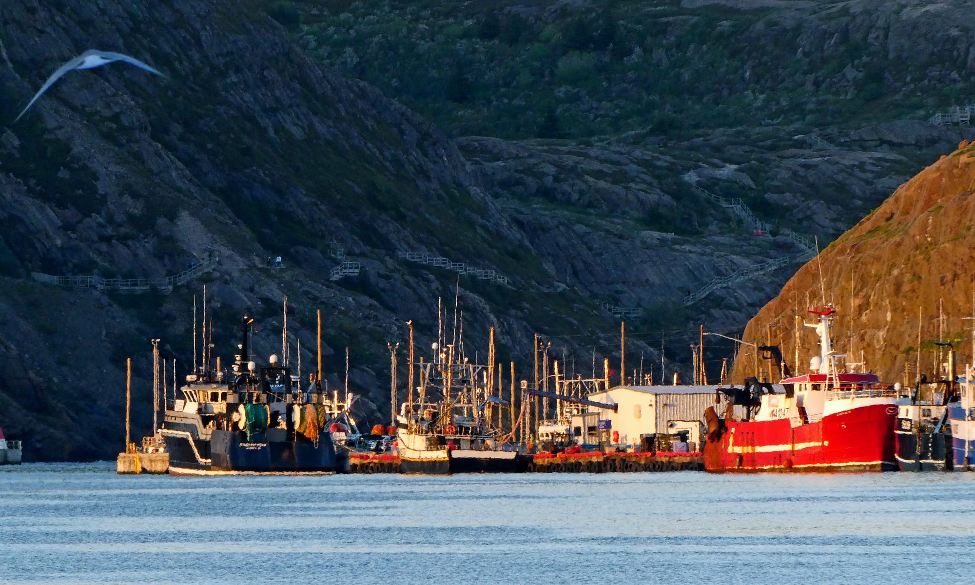Canada / Newfoundland 