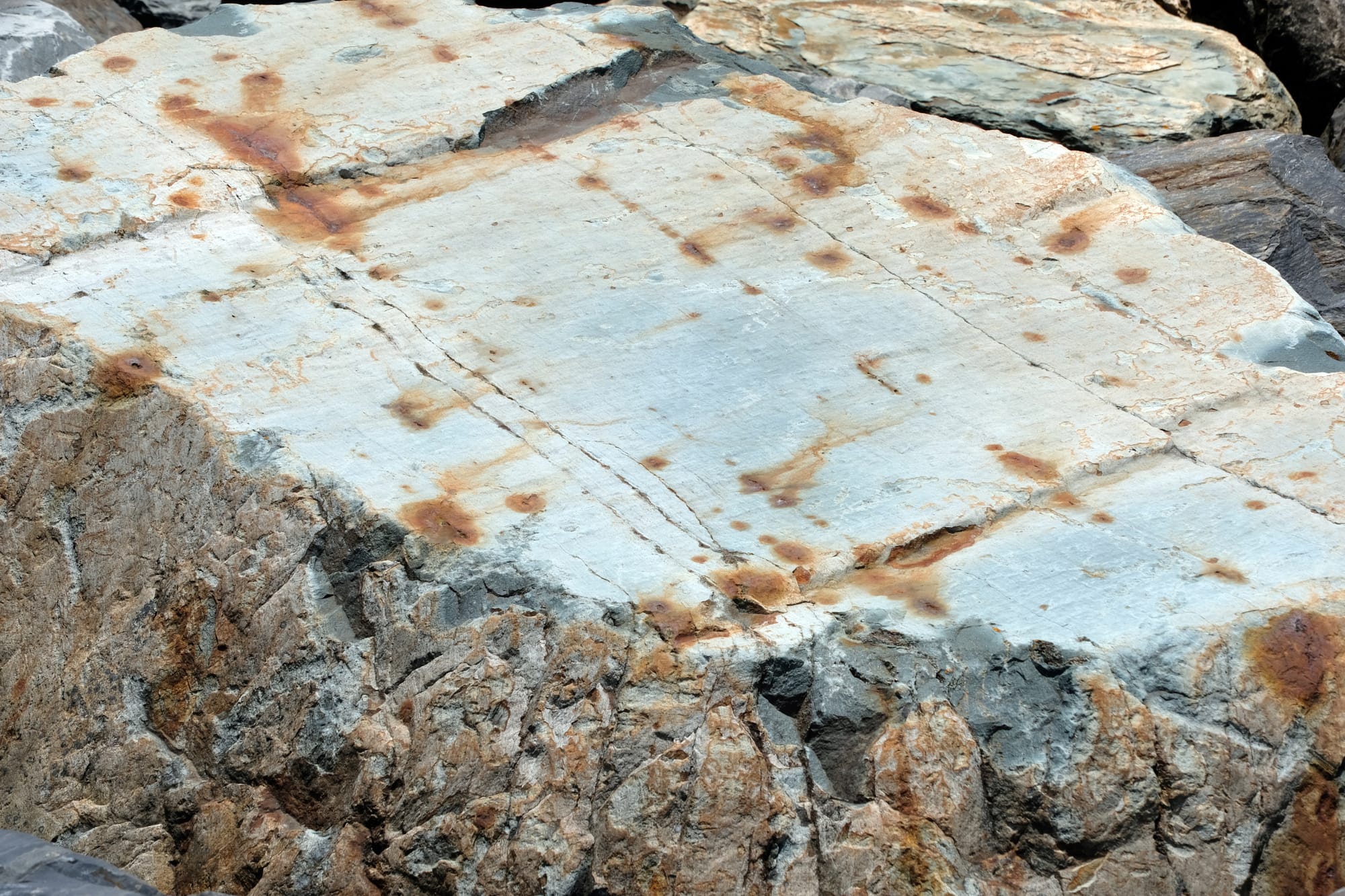 Canada / Newfoundland 