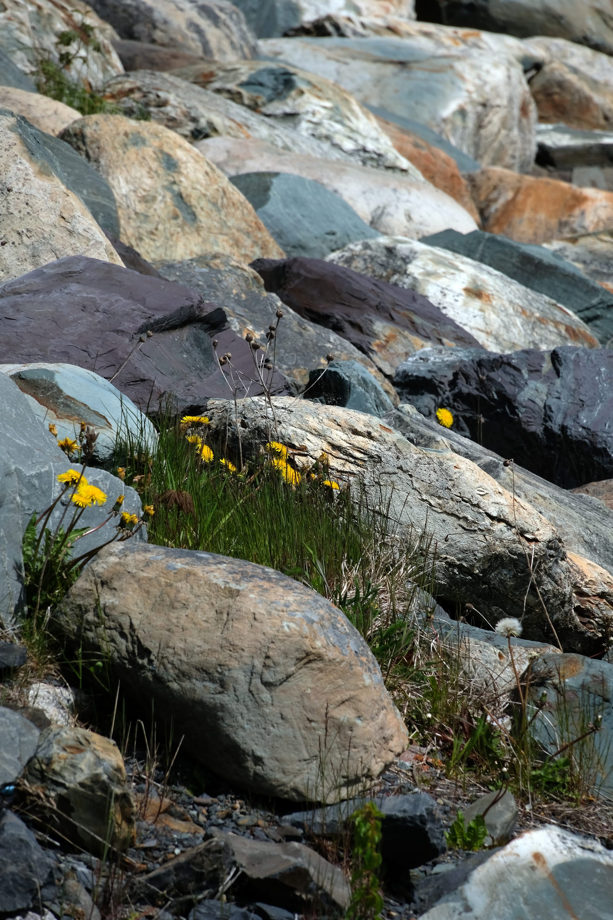Canada / Newfoundland 