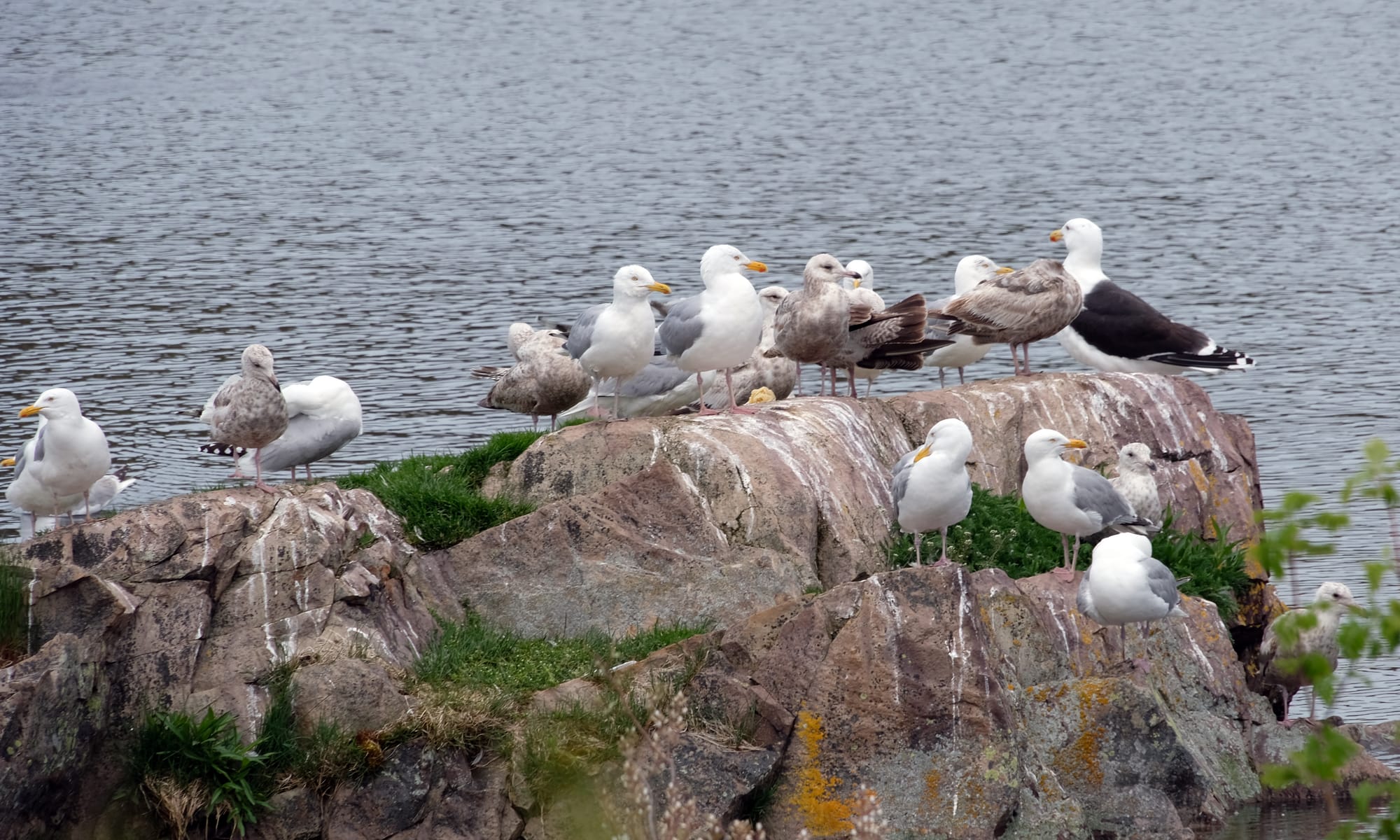 Canada / Newfoundland 