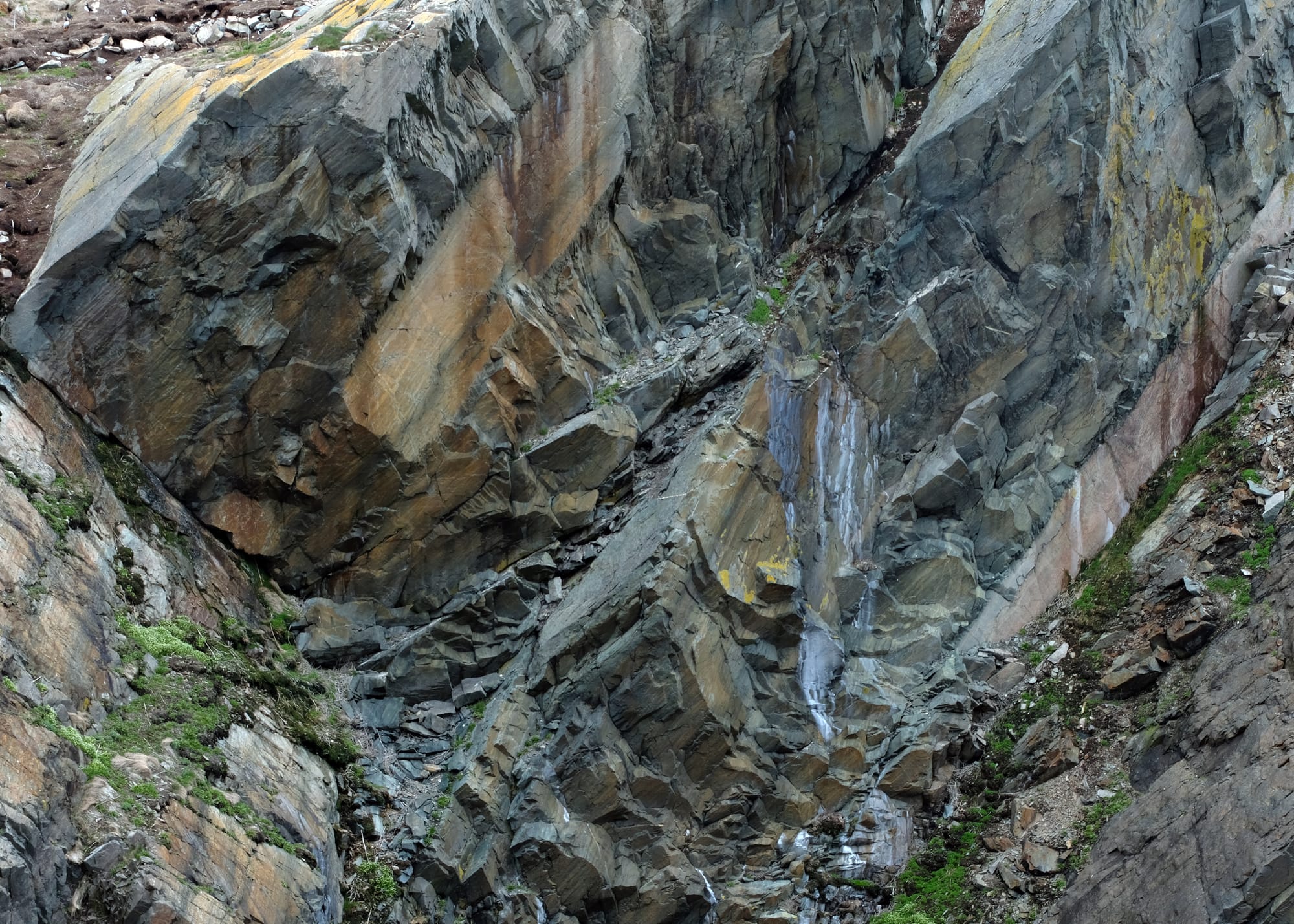 Canada / Newfoundland 