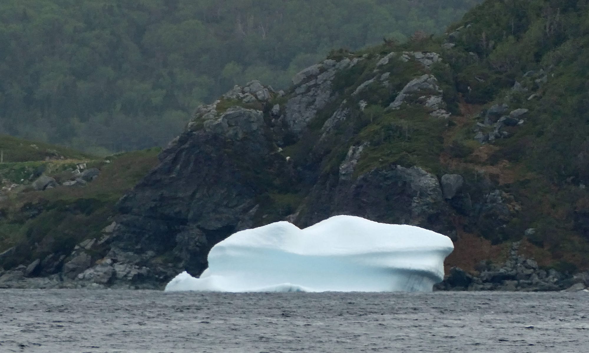 Canada / Newfoundland 
