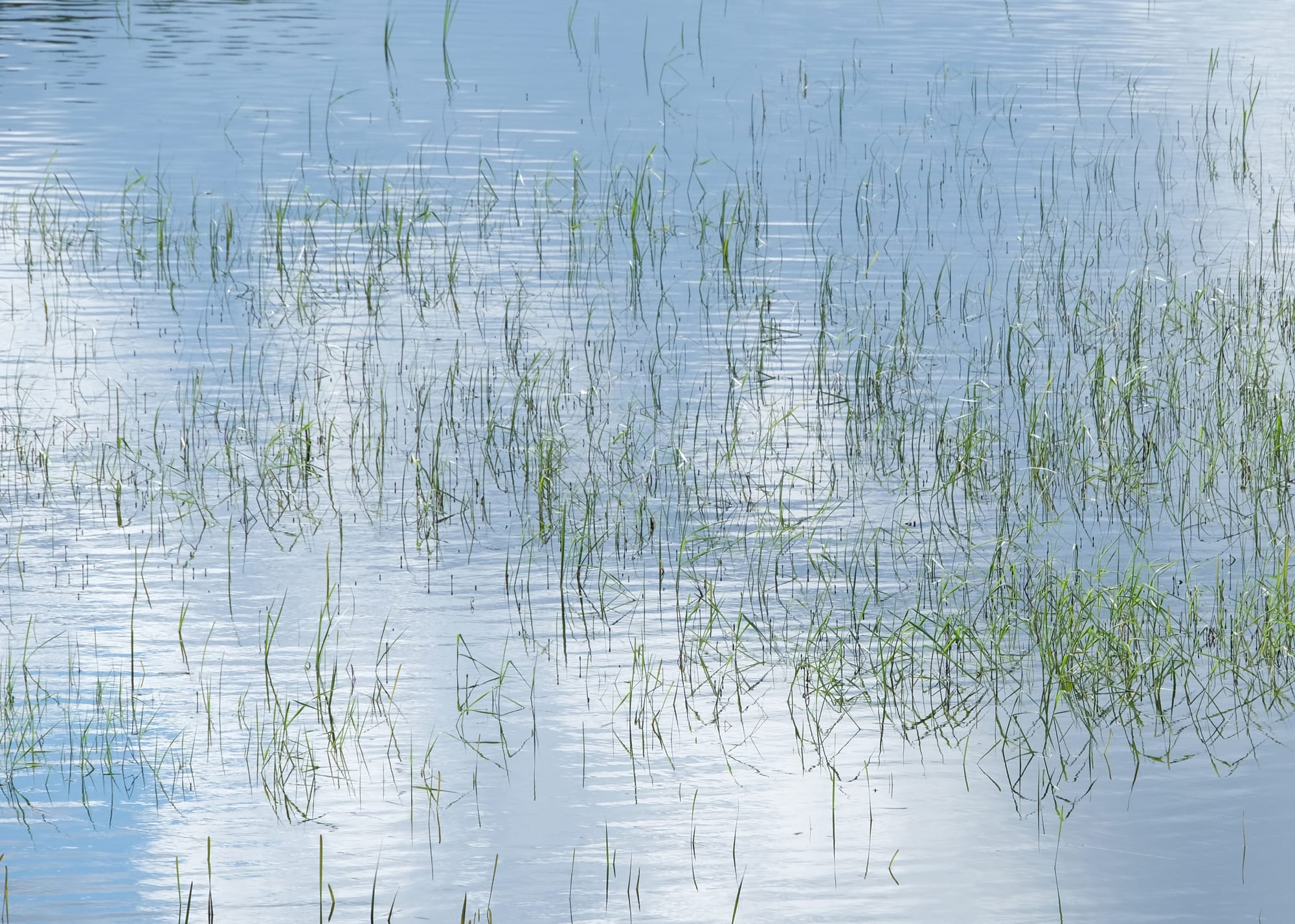 Canada / Newfoundland 