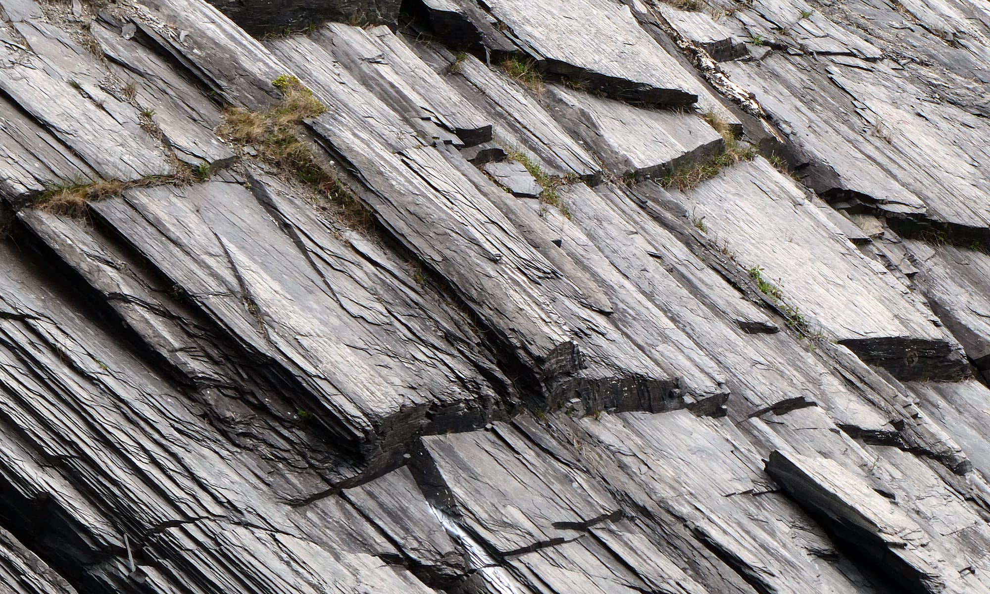 Canada / Newfoundland 