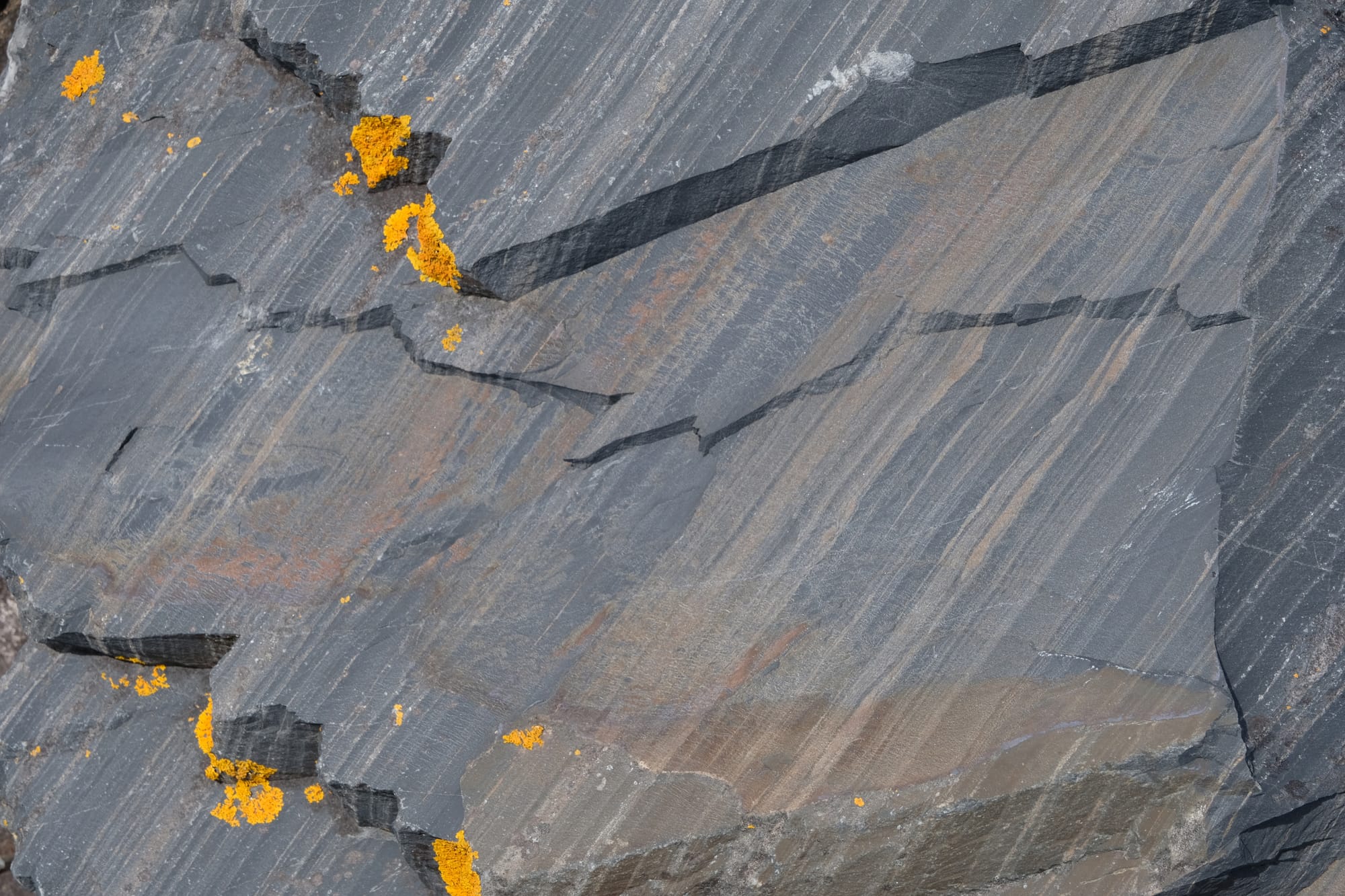 Canada / Newfoundland 