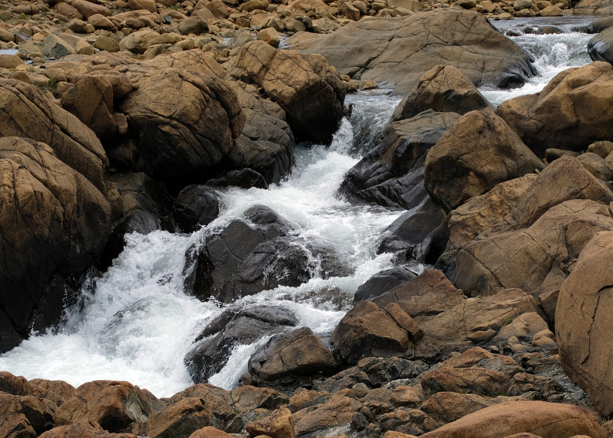Canada / Newfoundland 