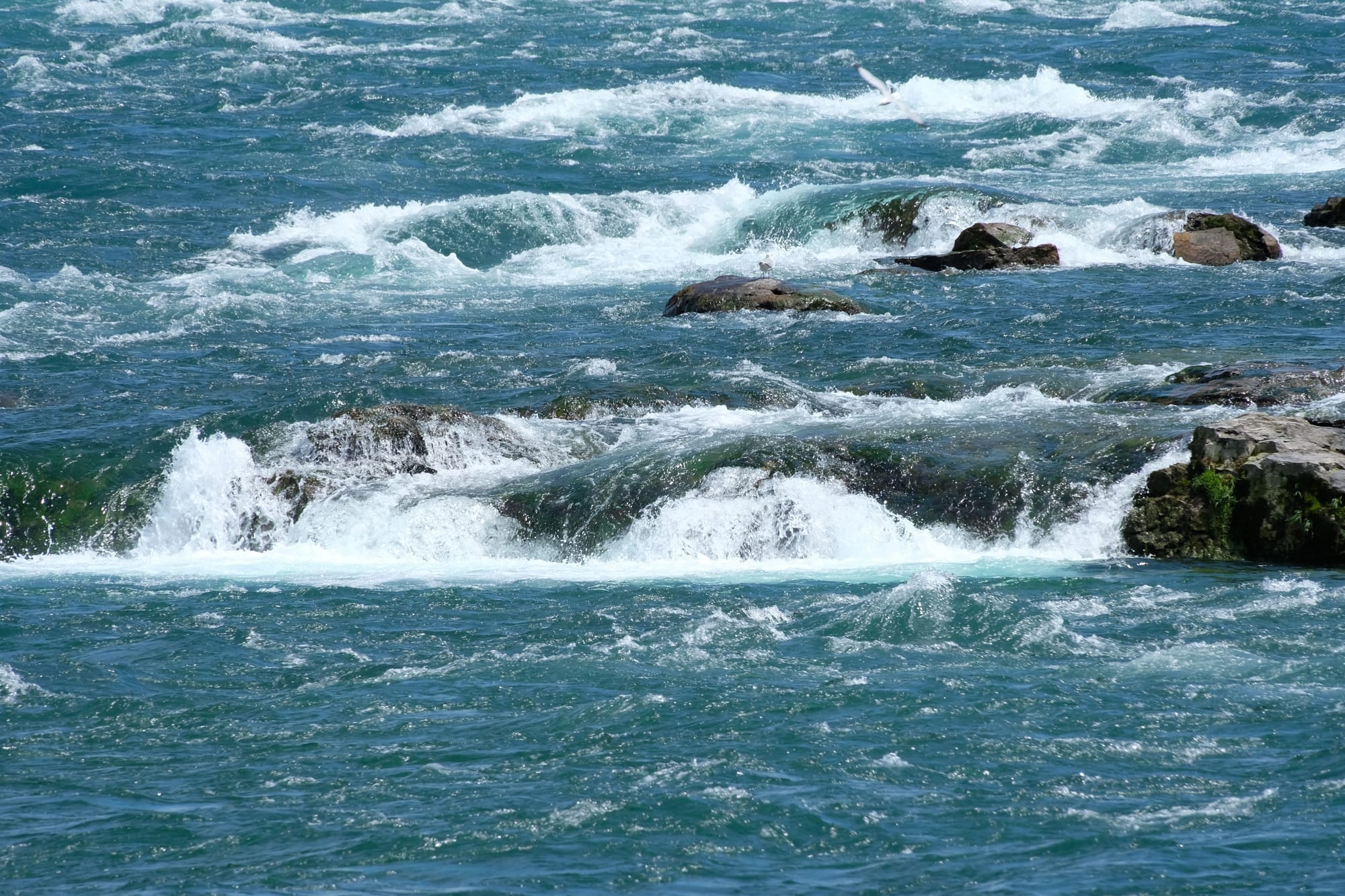 Canada / Newfoundland 