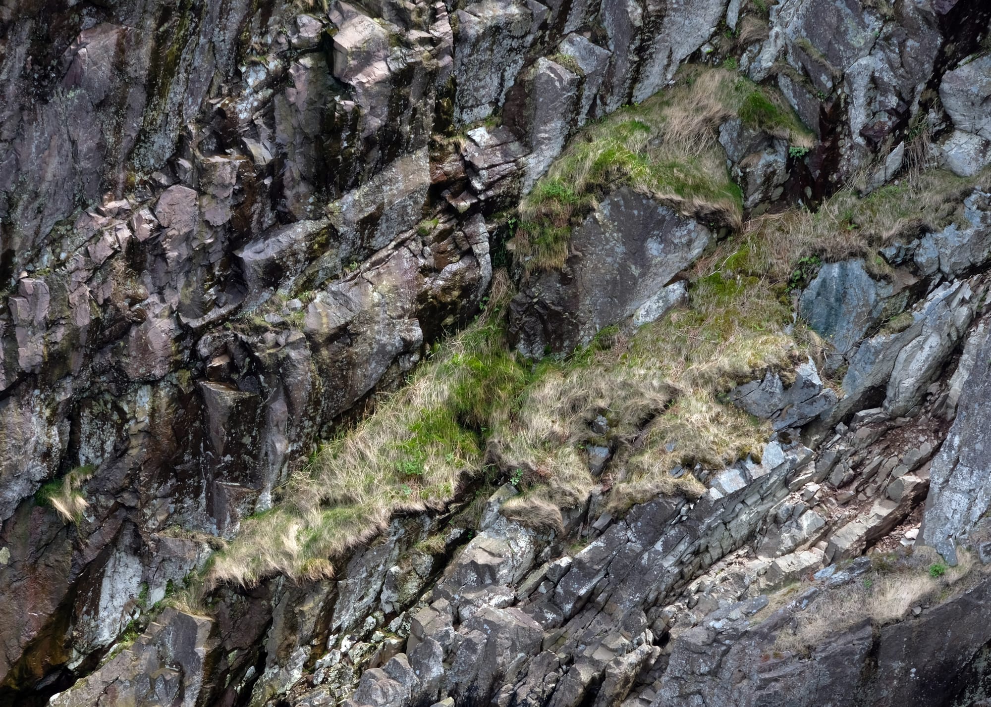 Canada / Newfoundland 