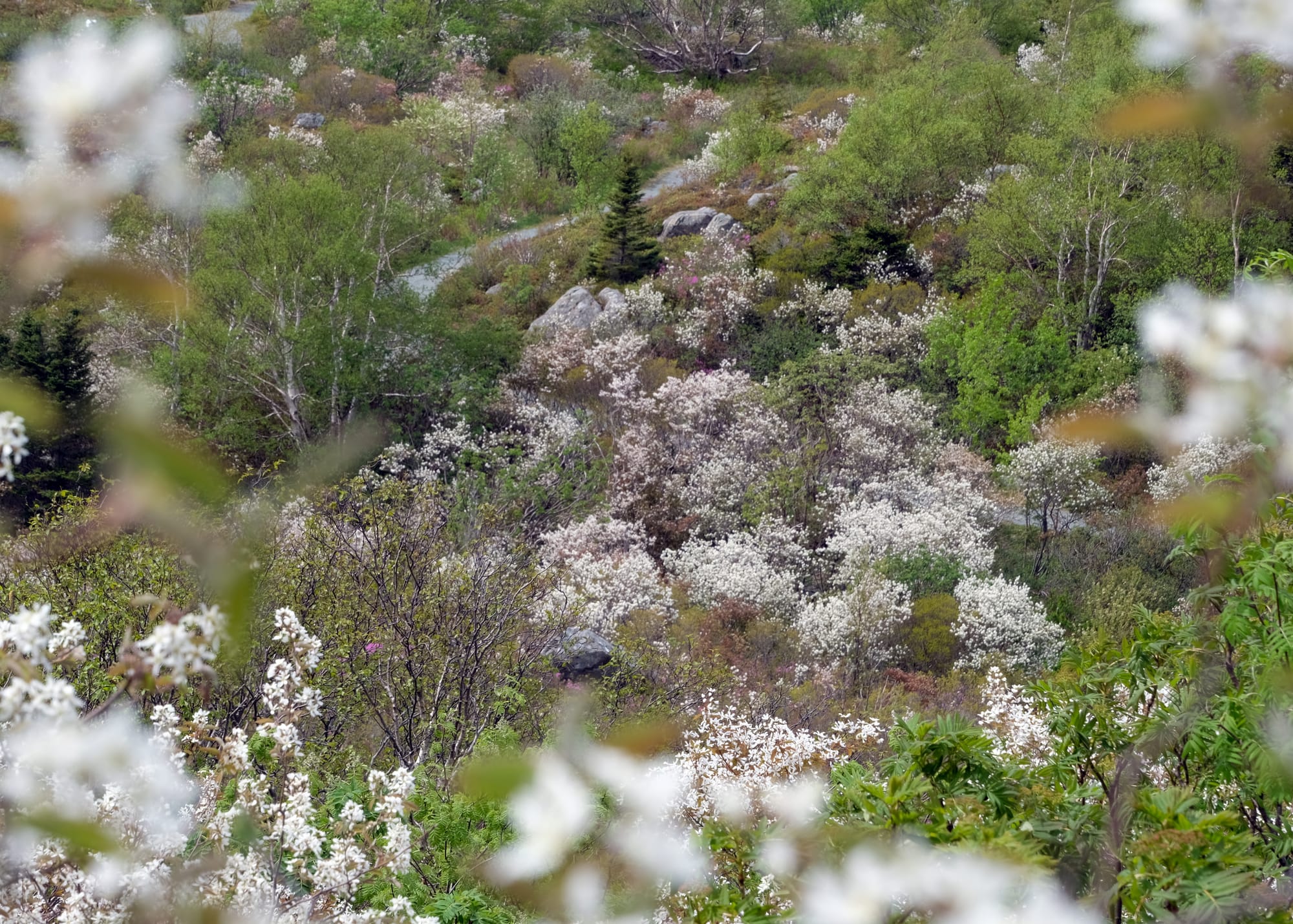 Canada / Newfoundland 