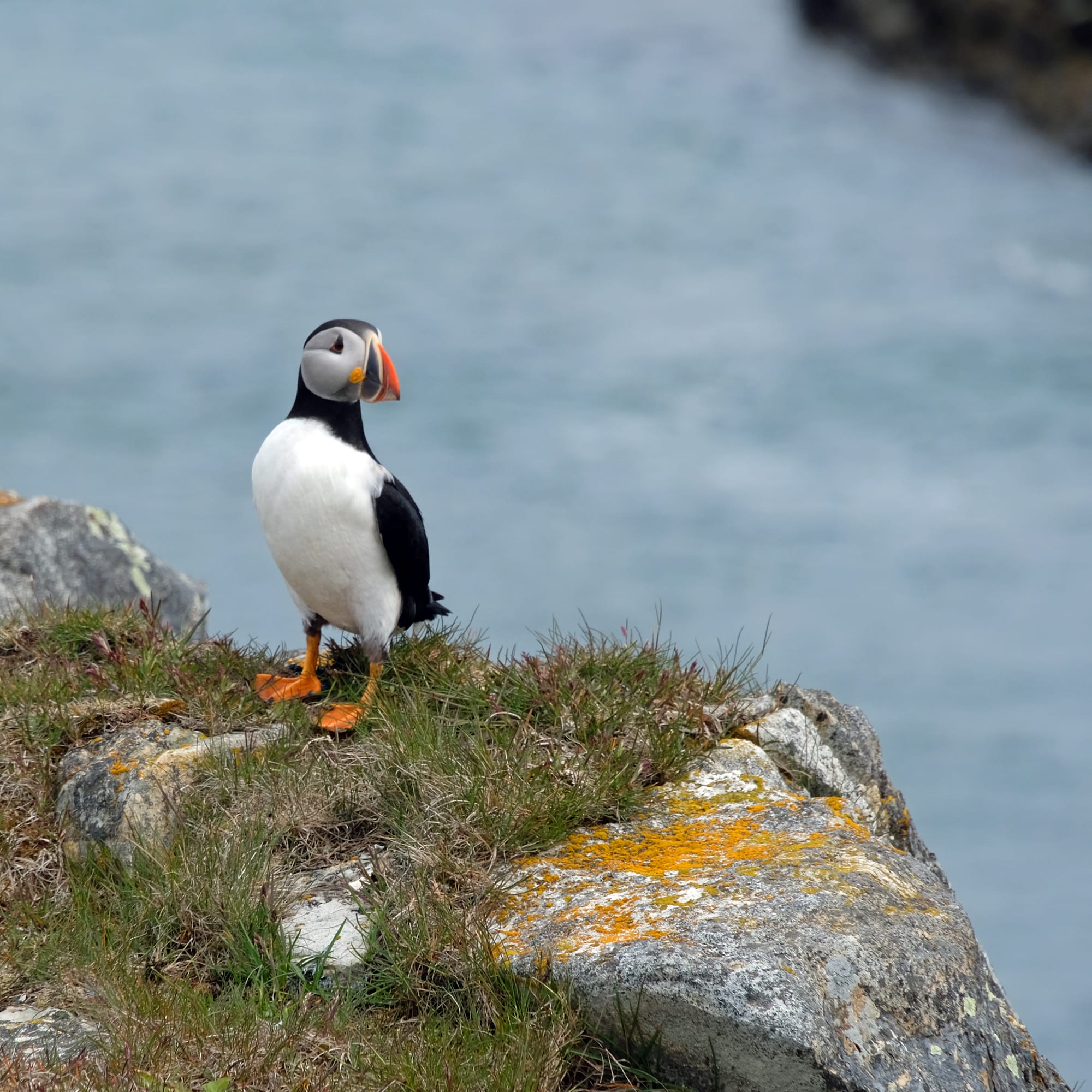 Canada / Newfoundland 