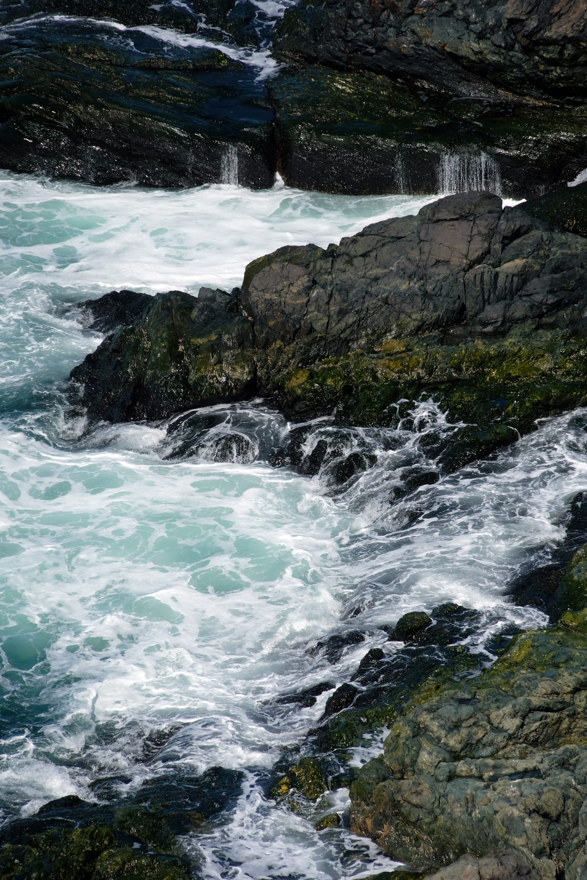 Canada / Newfoundland 