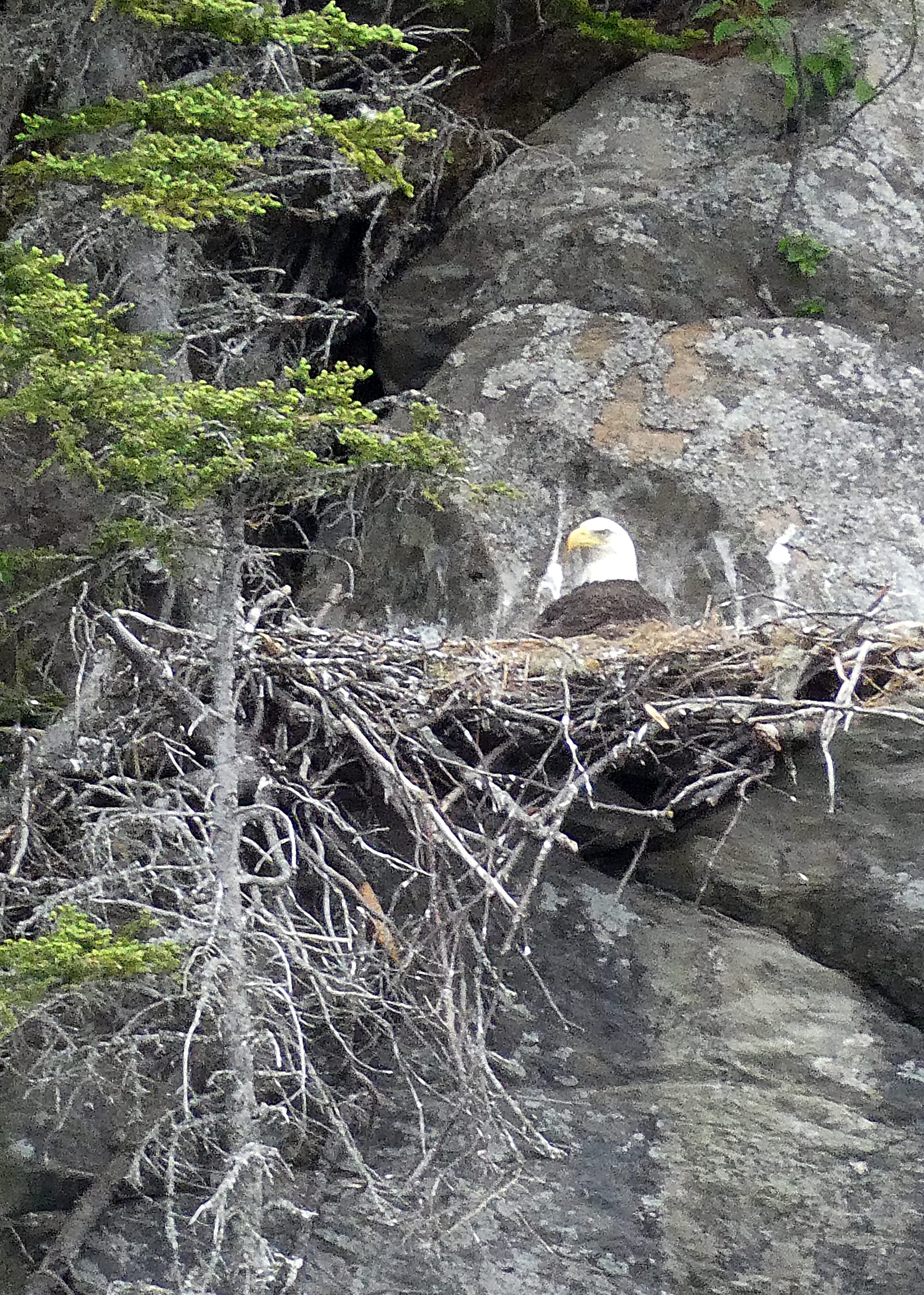 Canada / Newfoundland 