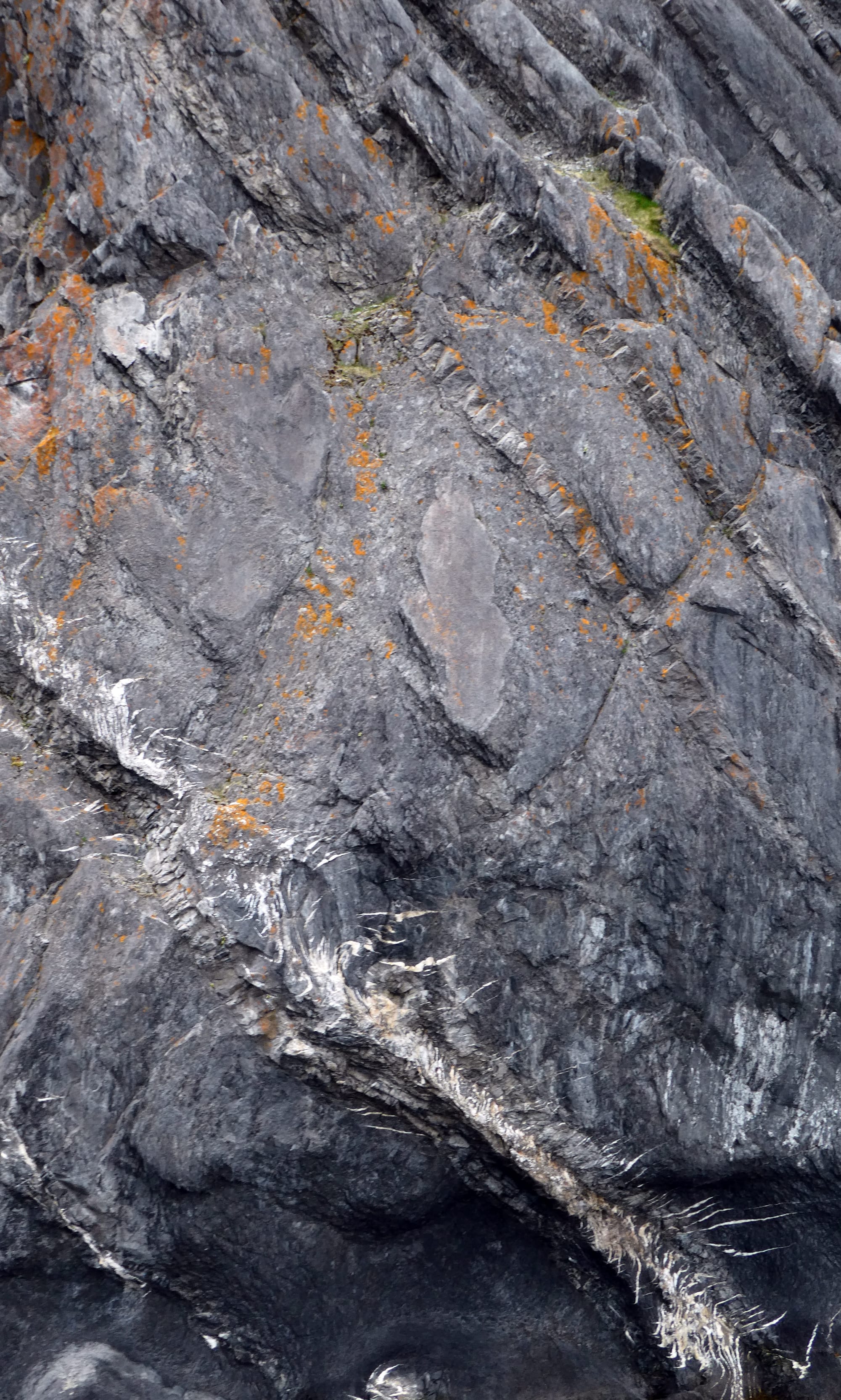 Canada / Newfoundland 