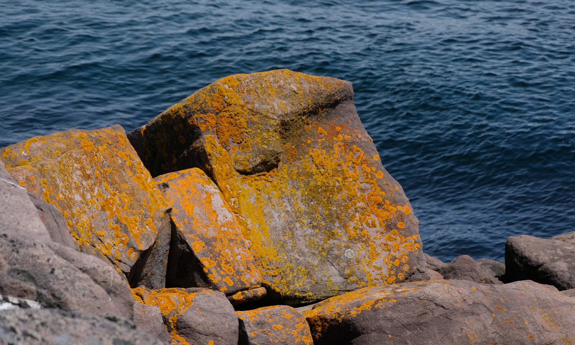 Canada / Newfoundland 