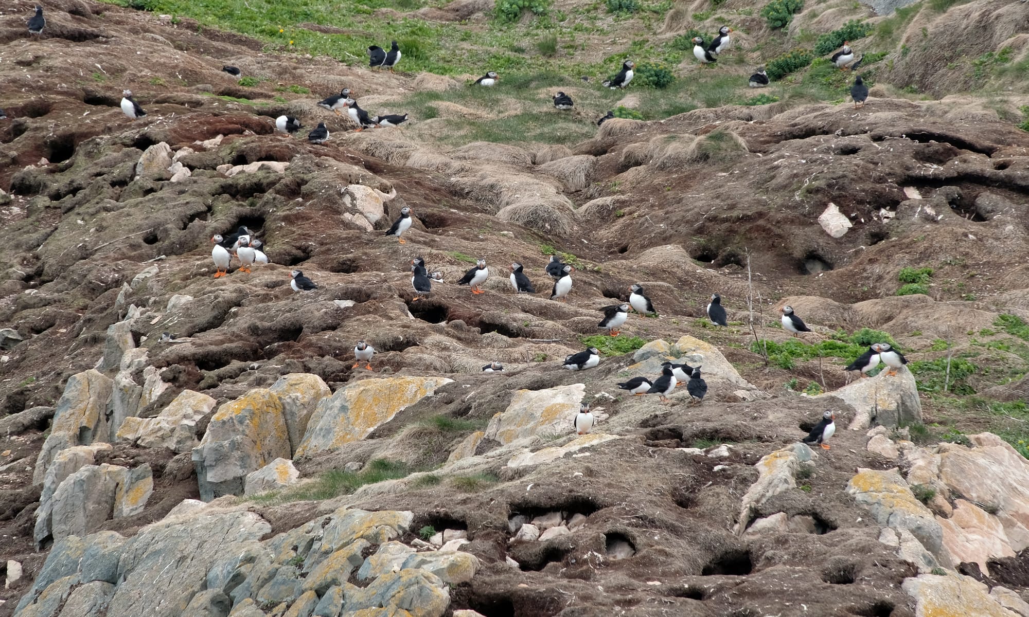 Canada / Newfoundland 