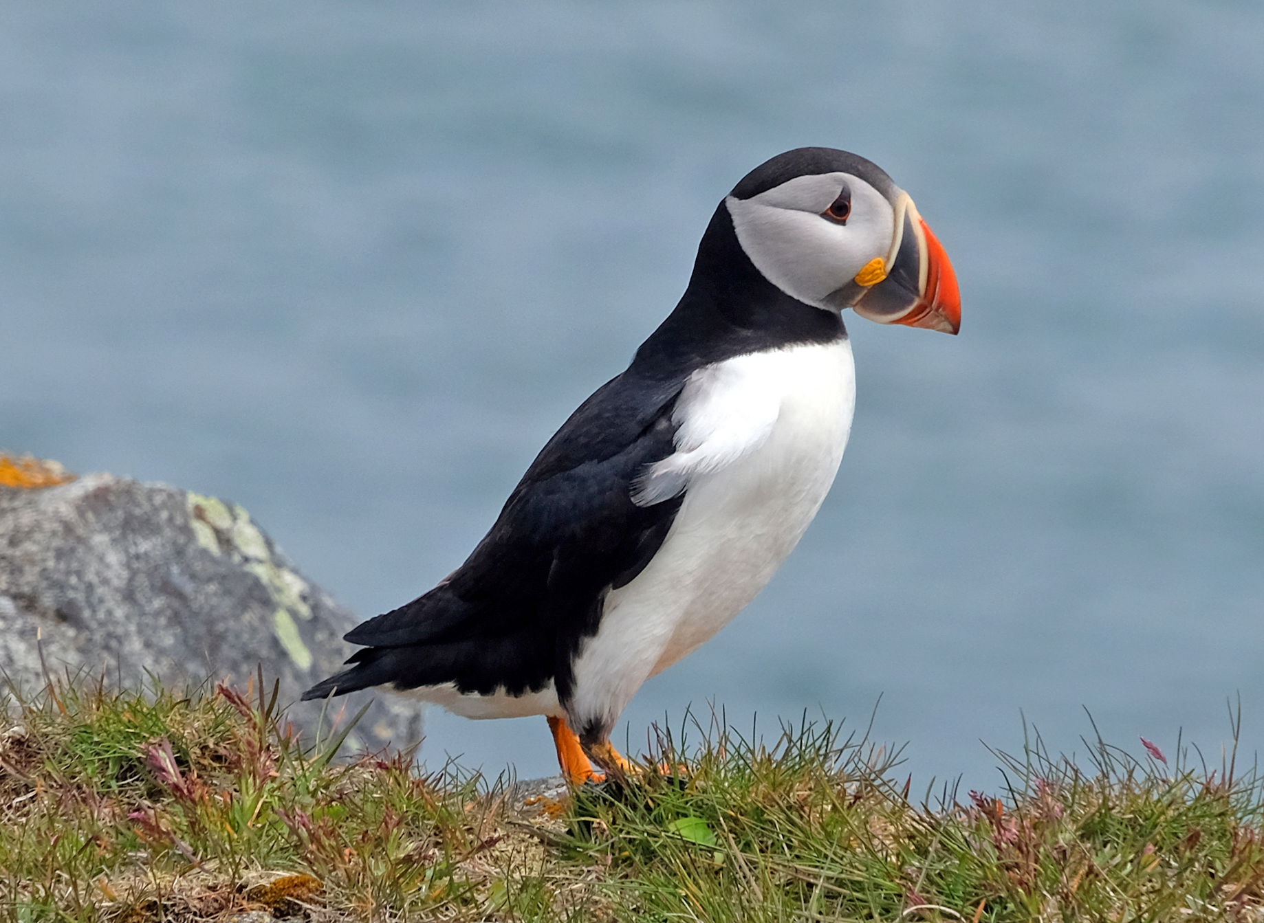 Canada / Newfoundland 