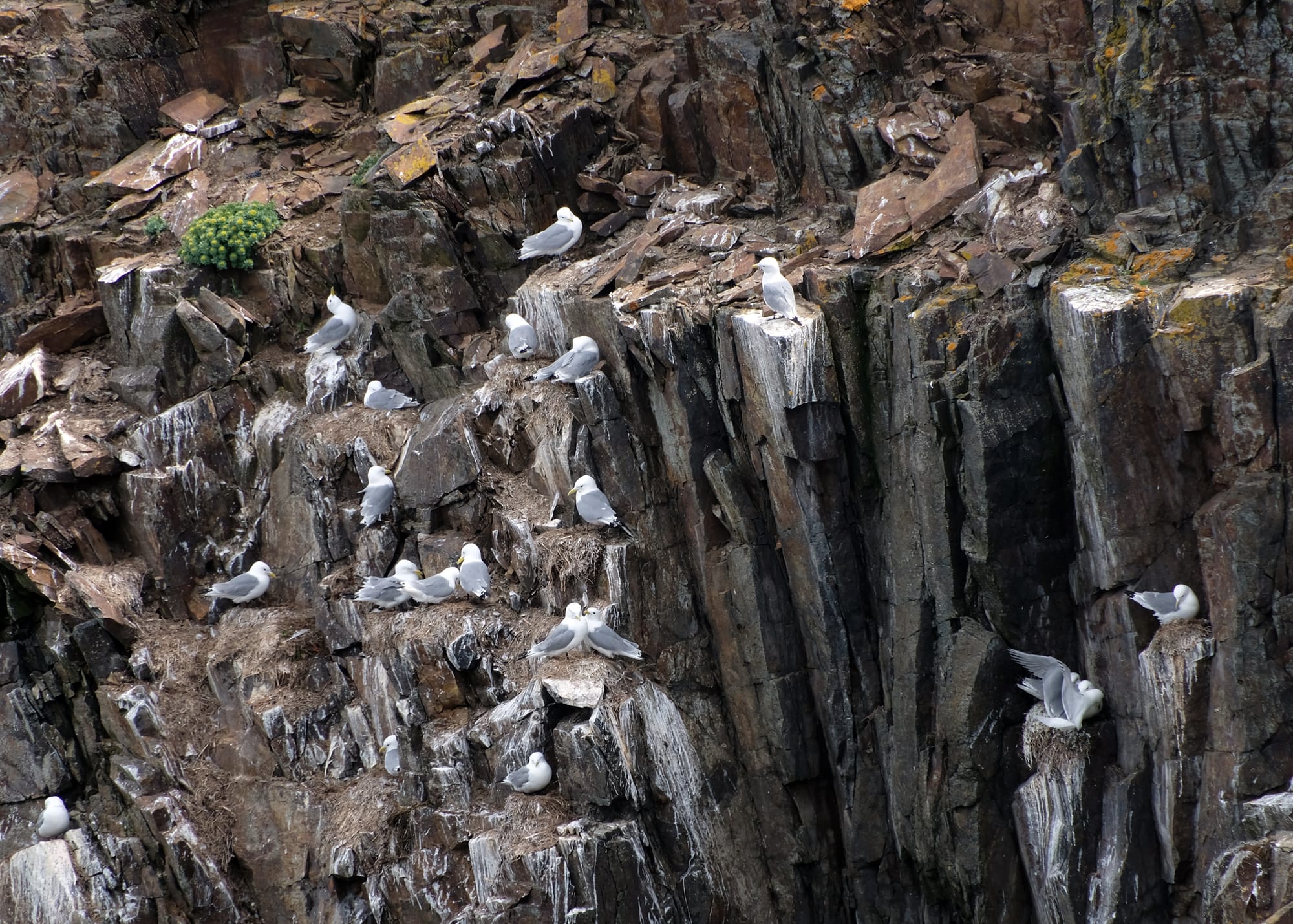 Canada / Newfoundland 