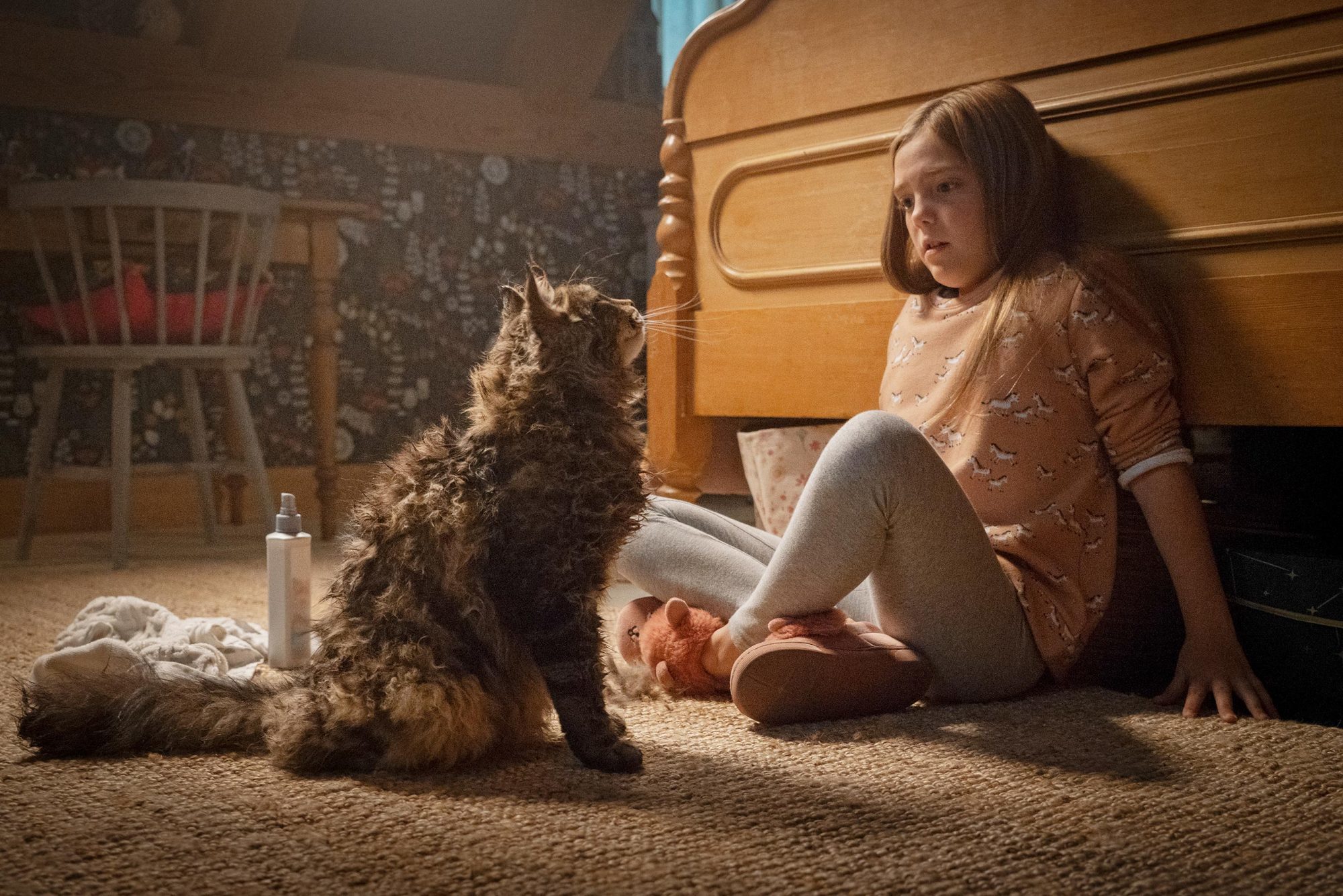 Pet Sematary / Cementerio de animales (2019)