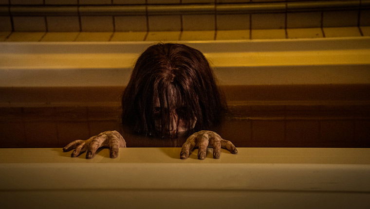 The grudge / El grito (2020)