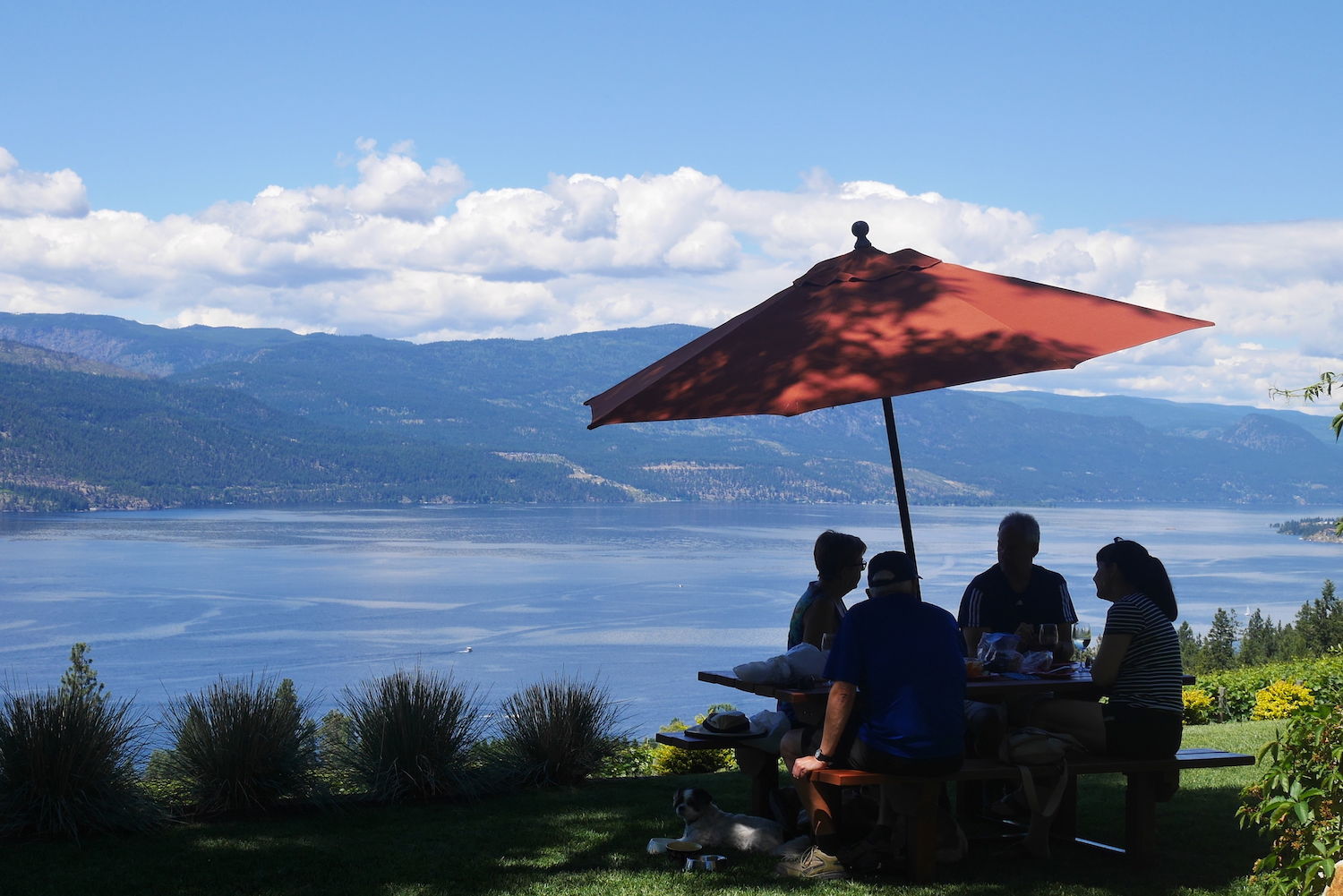 Arrowleaf Cellars