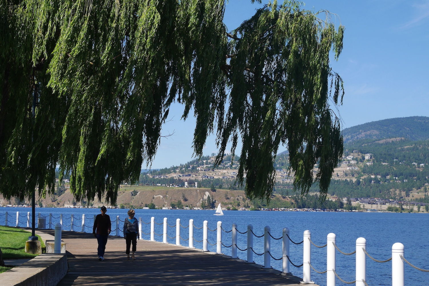 Okanagan Lake Front Park