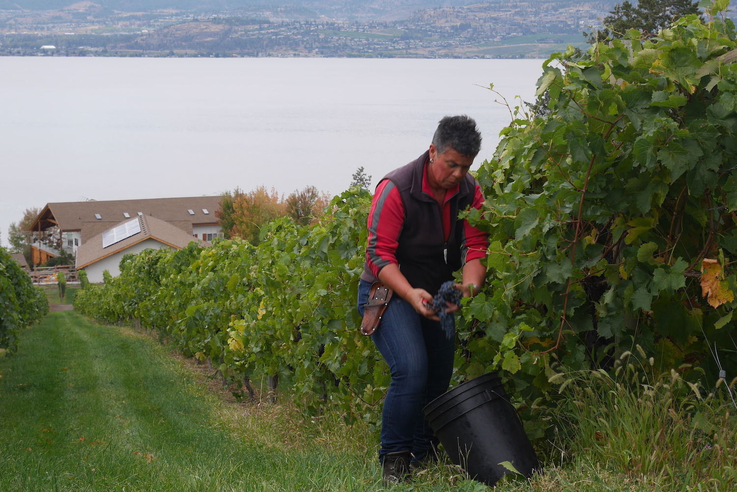 St.Hubertus & Oak Bay Estate Winery