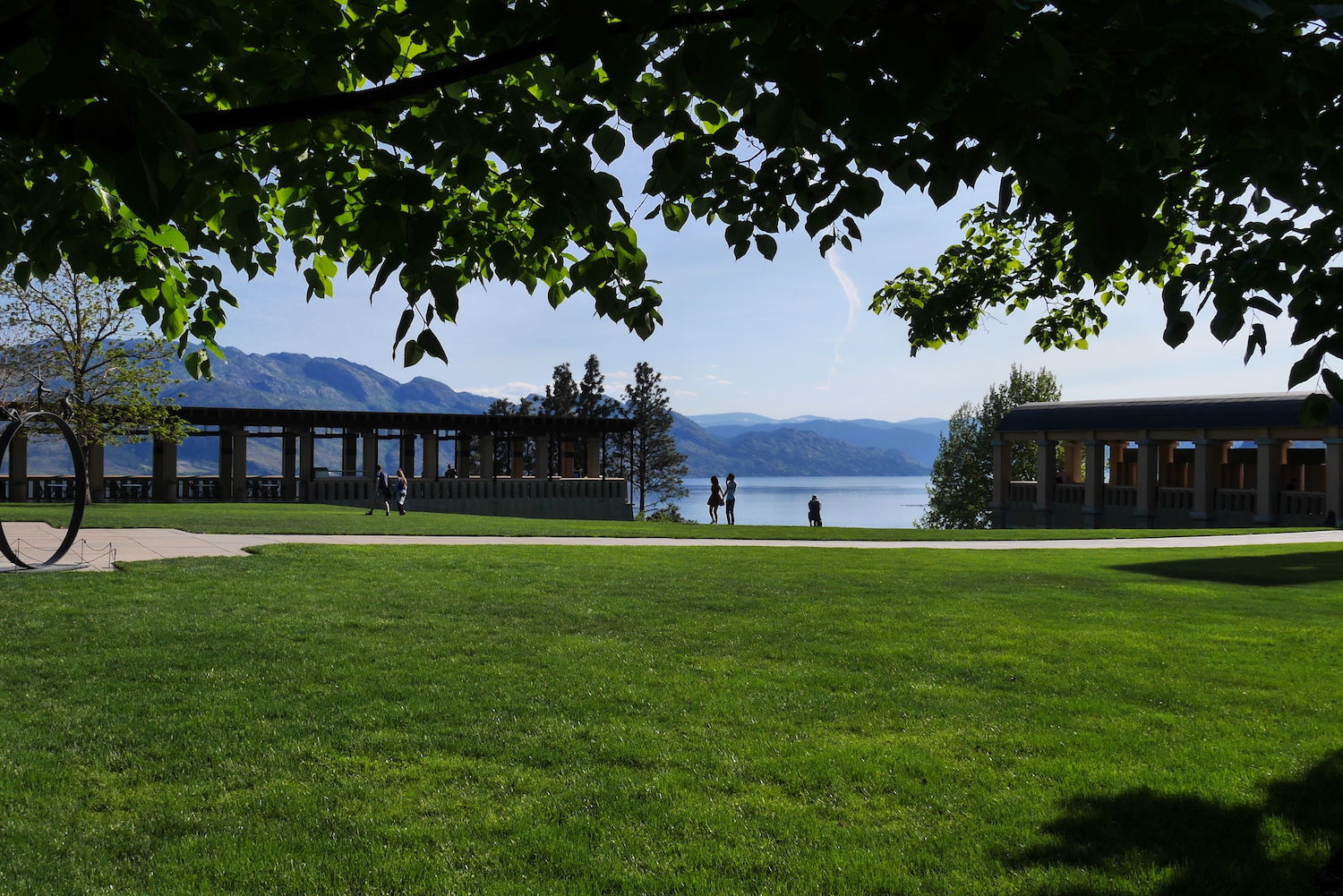 Mission Hill Estate Winery