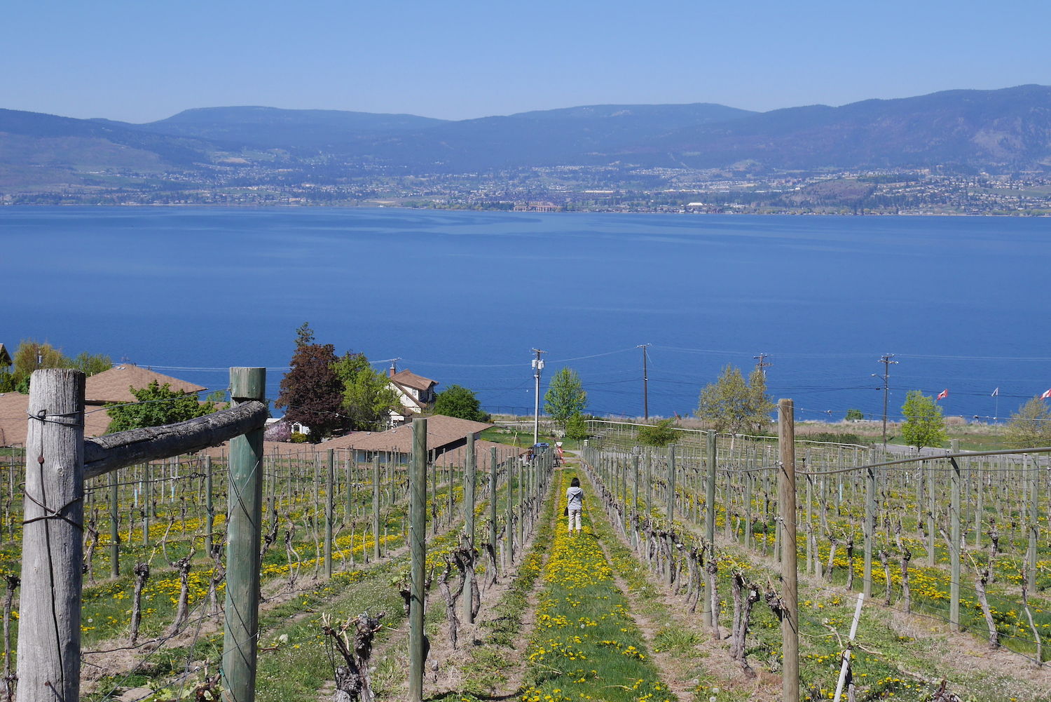 St.Hubertus & Oak Bay Estate Winery