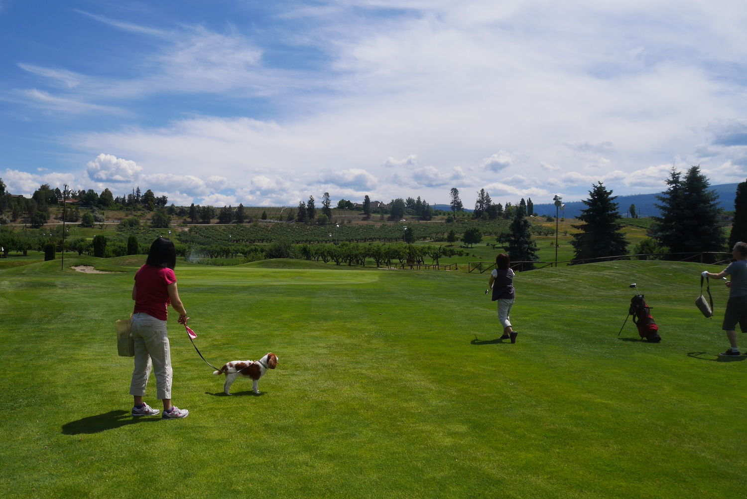 Golf Course at Orchard Green