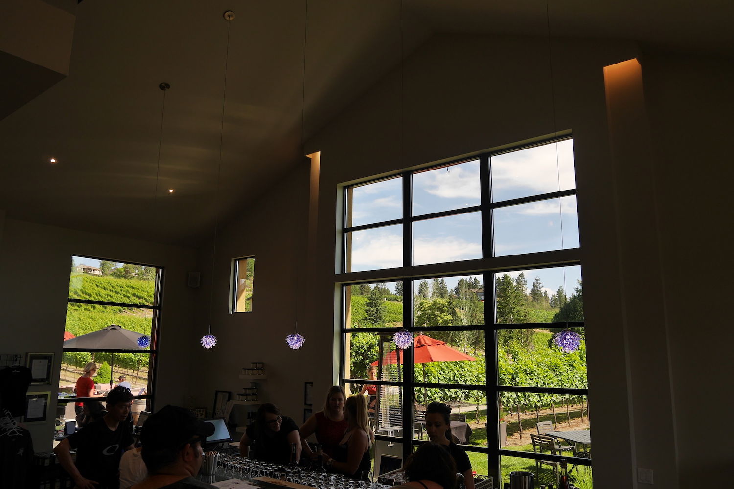 Ex Nihilo Vineyards