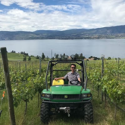 動画で見る！ブドウ畑の奥に迫る！