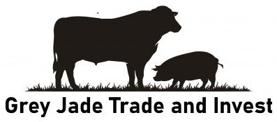 Grey Jade Trade and Invest