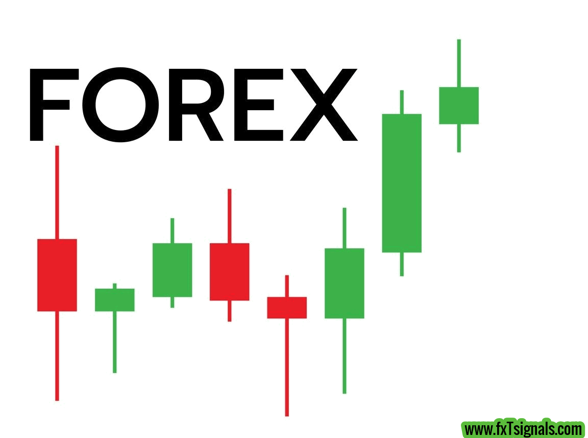 An Introduction to Forex Market