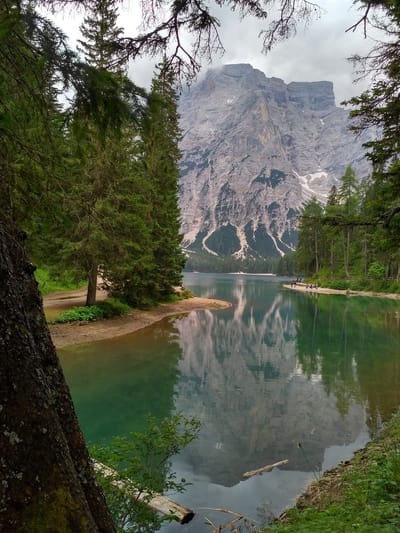 כל אדם צריך אדם