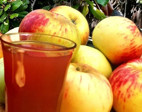 Homemade Apple Cider