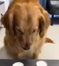 comdy - مواقف مضحكة