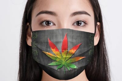 كمامة مصنوعة من نبتة القنب وقابلة للتسميد