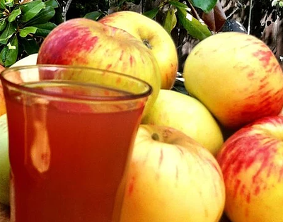 Homemade Apple Cider