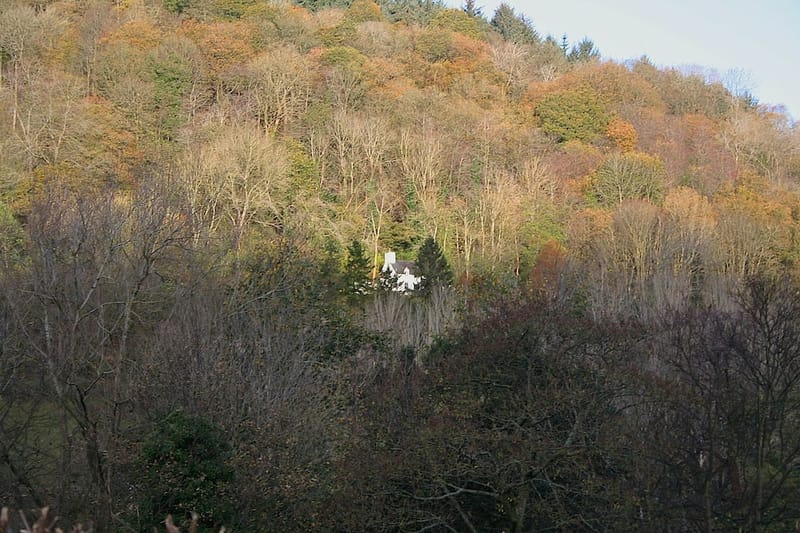 Shamanic Retreat - Full Cycle