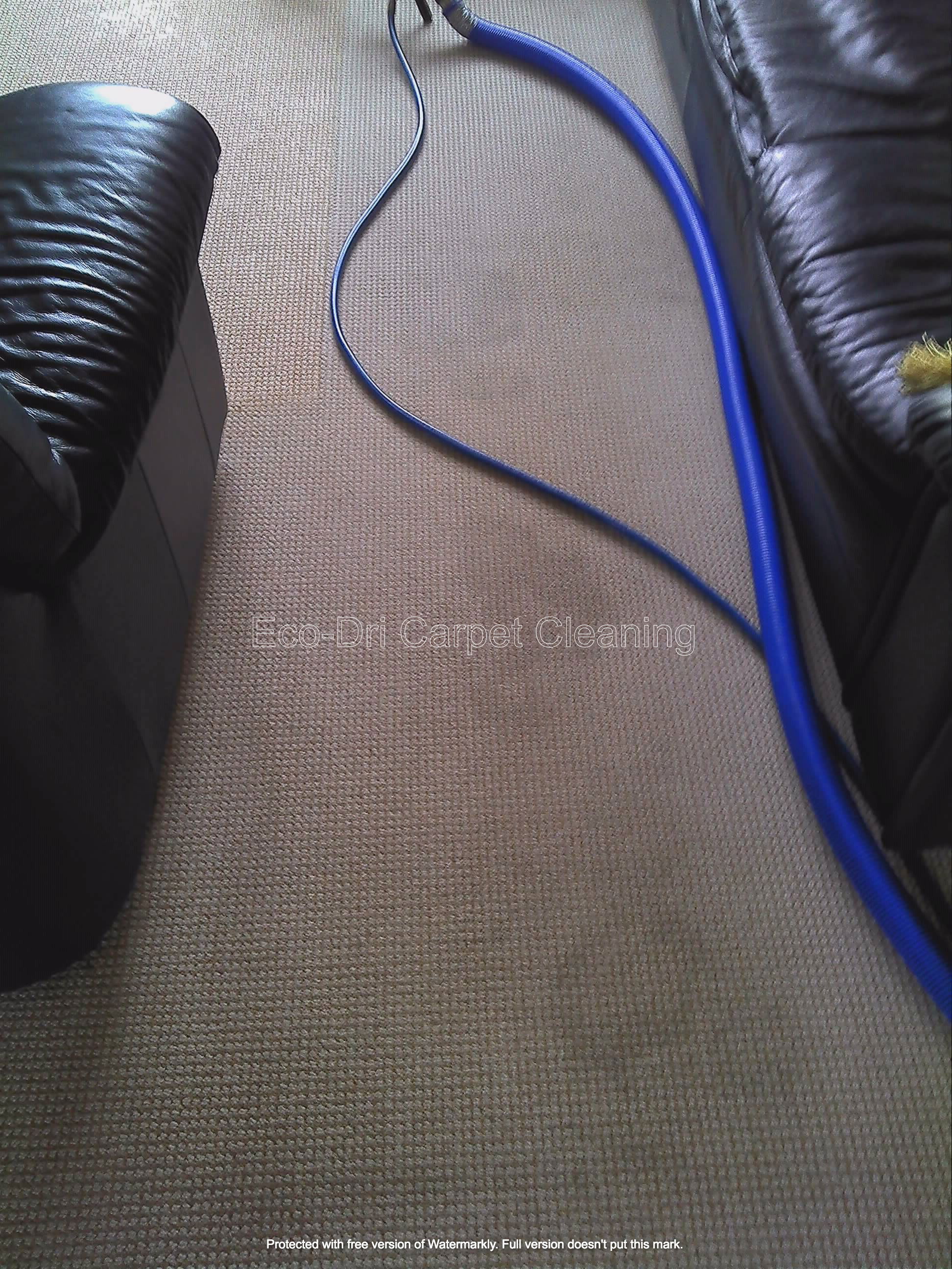 Carpet cleaning before