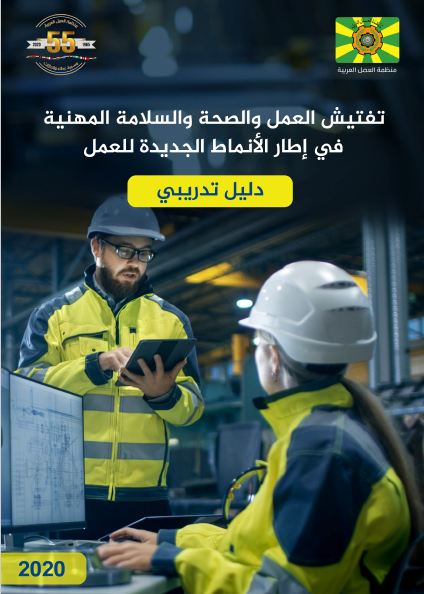 Labor inspection and occupational health and safety in the context of new patterns of work - a training manual