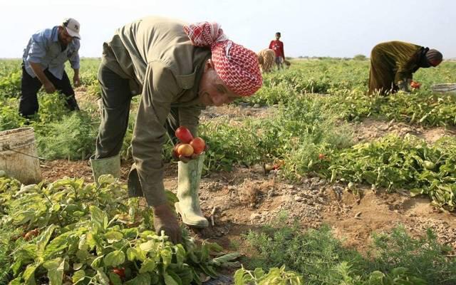 Legal status of agricultural workers in Jordan