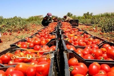 Guarantee: There is nothing preventing the inclusion of agricultural workers